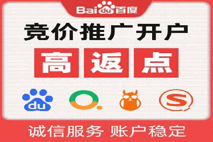 百度竞价公司案例分析：优化策略全解析